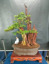 Sale off cuối năm, mời các anh chị vào xem live ủng hộ nhé!