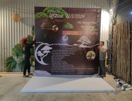 Livestream Offline Hội Bonsai Mini Nha Trang