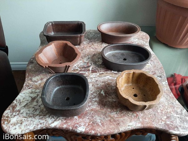 Mini Bonsai pots