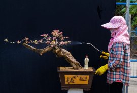 Giấy cẩm thạch chào ngày mới an lành ạ