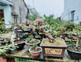 Giấy cẩm thạch chào ngày mới an lành ạ