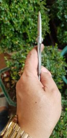 Kéo tỉa thép trắng Kaneshin size 180mm