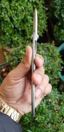 Kéo tỉa thép trắng Kaneshin size 180mm