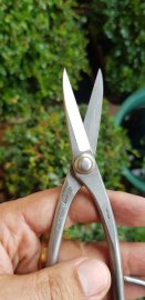Kéo tỉa thép trắng Kaneshin size 180mm