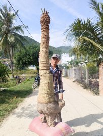 Thiên Tuế