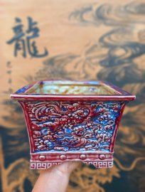 Giao lưu ae chậu cũ Huyết Long dáng đẹp kt 20x15