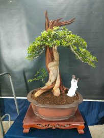 Sale off cuối năm, mời các anh chị vào xem live ủng hộ nhé!