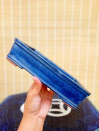 Xả nhanh chậu xưa cốt dầy men đẹp lành tít 500k