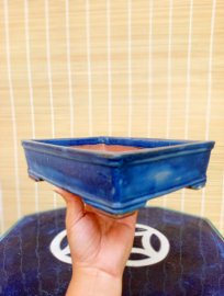 Xả nhanh chậu xưa cốt dầy men đẹp lành tít 500k