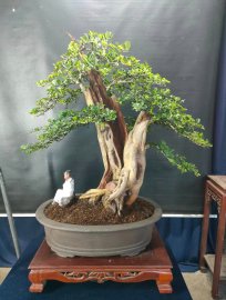 Live cuối cùng của năm, sale off sập sàn, mời các anh chị vào xem nhé!