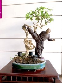 Luyện công