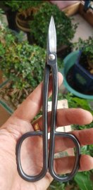 Tỷ giá đồng Yên nay bao nhiêu vậy ACE