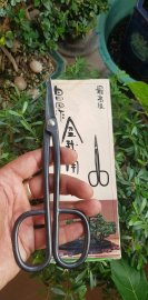 Tỷ giá đồng Yên nay bao nhiêu vậy ACE