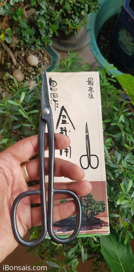 Tỷ giá đồng Yên nay bao nhiêu vậy ACE