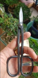 Tỷ giá đồng Yên nay bao nhiêu vậy ACE