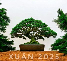 Linh sam