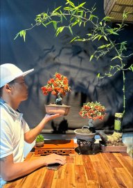 Hệ trái hú em