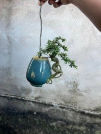 Tree hanging upside down