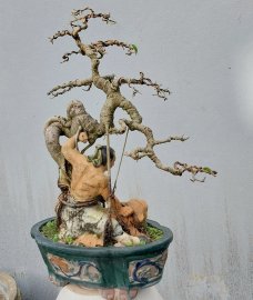 Sanh quê ôm tượng lâu năm