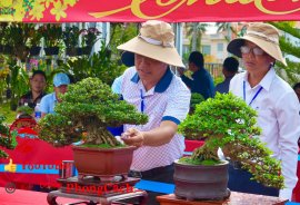 Phần 1: Hội thi và triển lãm bonsai tp sadec 2025