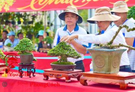 Phần 1: Hội thi và triển lãm bonsai tp sadec 2025