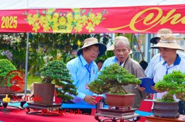 Phần 1: Hội thi và triển lãm bonsai tp sadec 2025