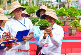 Phần 1: Hội thi và triển lãm bonsai tp sadec 2025