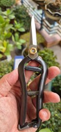 Duy nhất 1c kéo tỉa mũi kiếm Yasunonori size20