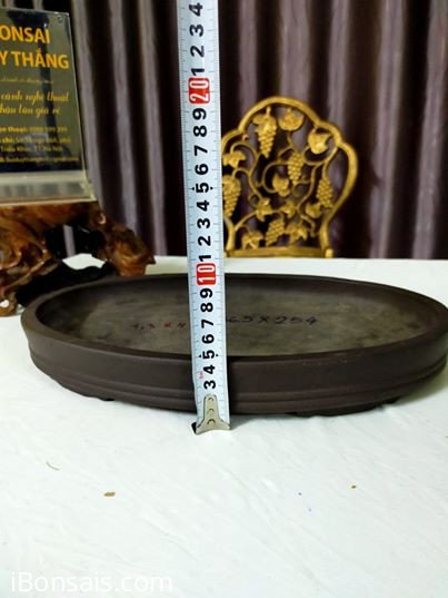 Bộ Khay Bầu Dục 4 chậu