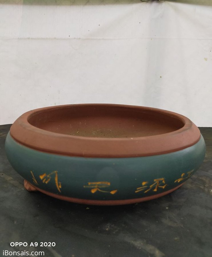Chậu trồng cây bonsai