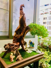 TP: QUAN ÂM LINH MỘC