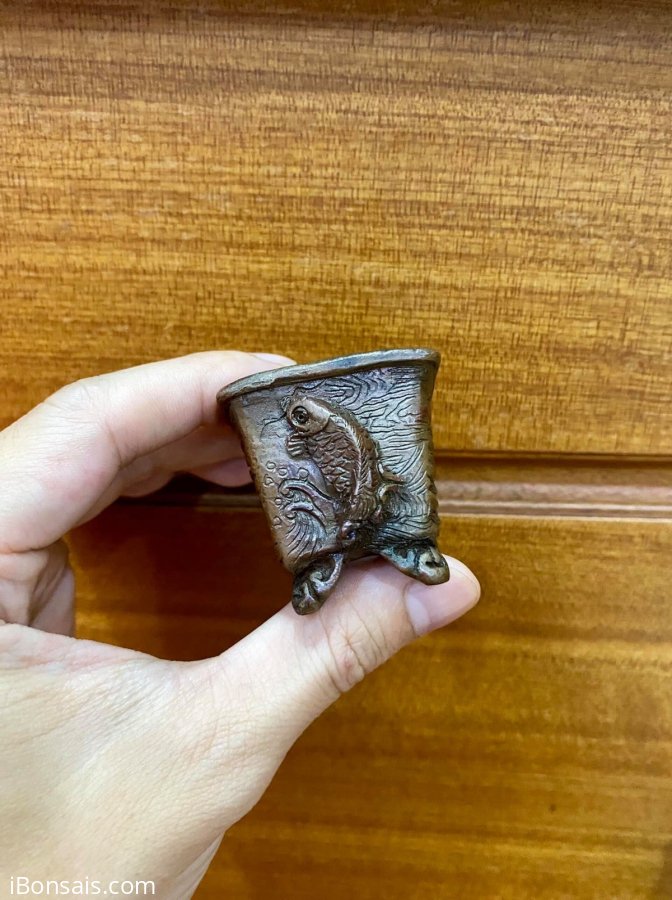 CHẬU NHẬT