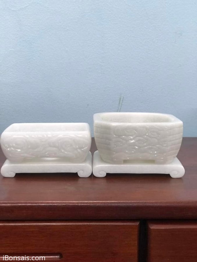 Chậu đá mini