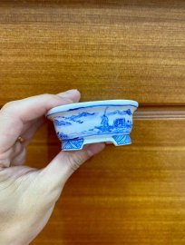 Cổ phong!