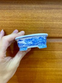 Cổ phong!