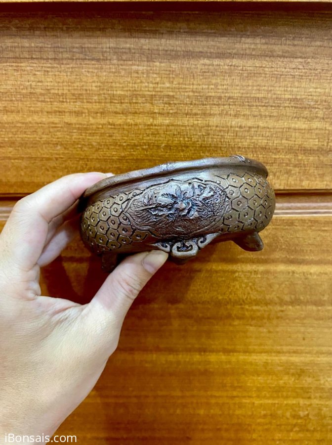 Chậu Nhật ( hình rồng )