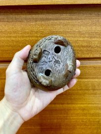 Chậu Nhật ( hình rồng )