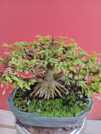Lưu giữ khoảnh khắc