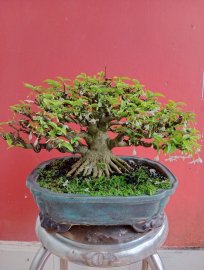 Lưu giữ khoảnh khắc