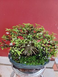 Lưu giữ khoảnh khắc