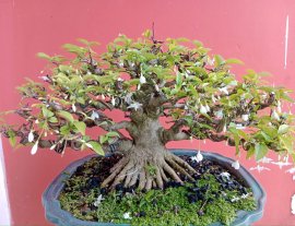 Lưu giữ khoảnh khắc