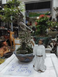 Tiên ông uống rượu