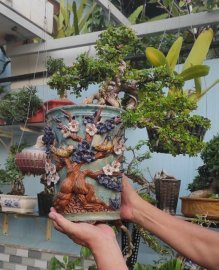 Giao lưu Sam núi trái dáng thác đổ