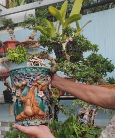 Giao lưu Sam núi trái dáng thác đổ