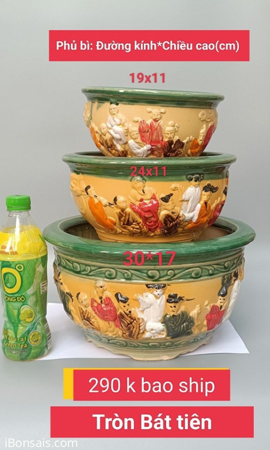 Chậu tròn bát tiên