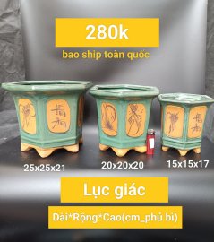 Chậu bonsai hàng Bát tràng Việt Nam, giá từ 270k đến 350k