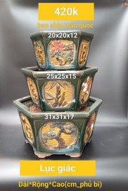 Chậu bonsai hàng Bát tràng Việt Nam, giá từ 370k đến 500k