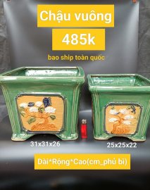 Chậu bonsai hàng Bát tràng Việt Nam, giá từ 370k đến 500k