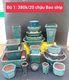 Bộ 20 chậu bonsai mini các loại