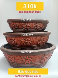 Mẫu chậu mới cho năm nay